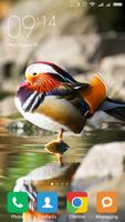 برنامه‌نما Mandarin duck Wallpapers عکس از صفحه
