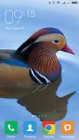 برنامه‌نما Mandarin duck Wallpapers عکس از صفحه