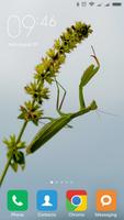Mantis Wallpapers تصوير الشاشة 1
