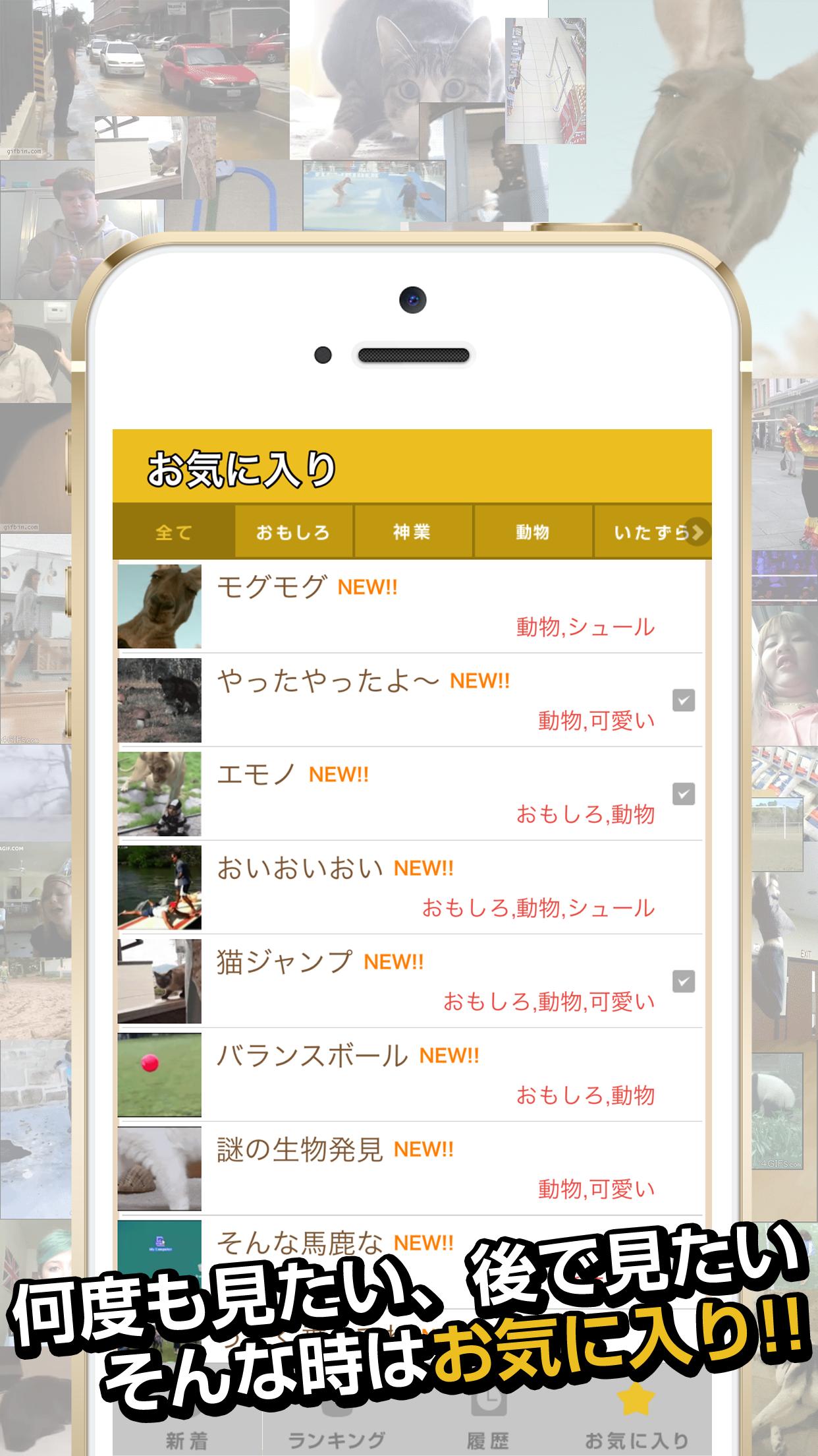 俺のgif 絶対笑えるおもしろgifアニメ画像 For Android Apk Download