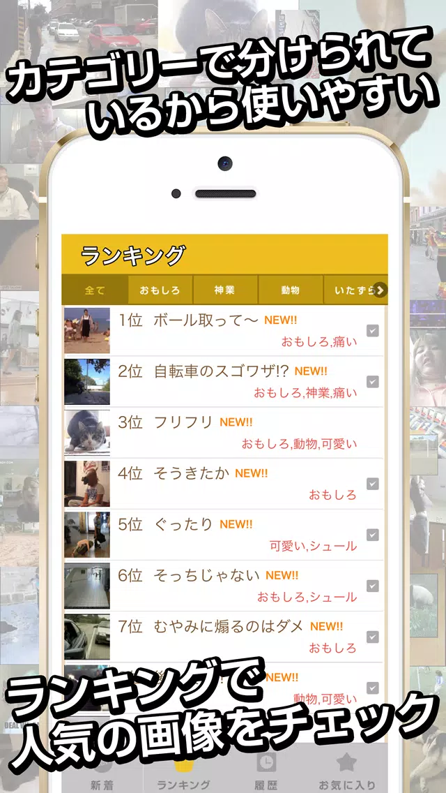 俺のgif 絶対笑えるおもしろgifアニメ画像 Apk للاندرويد تنزيل