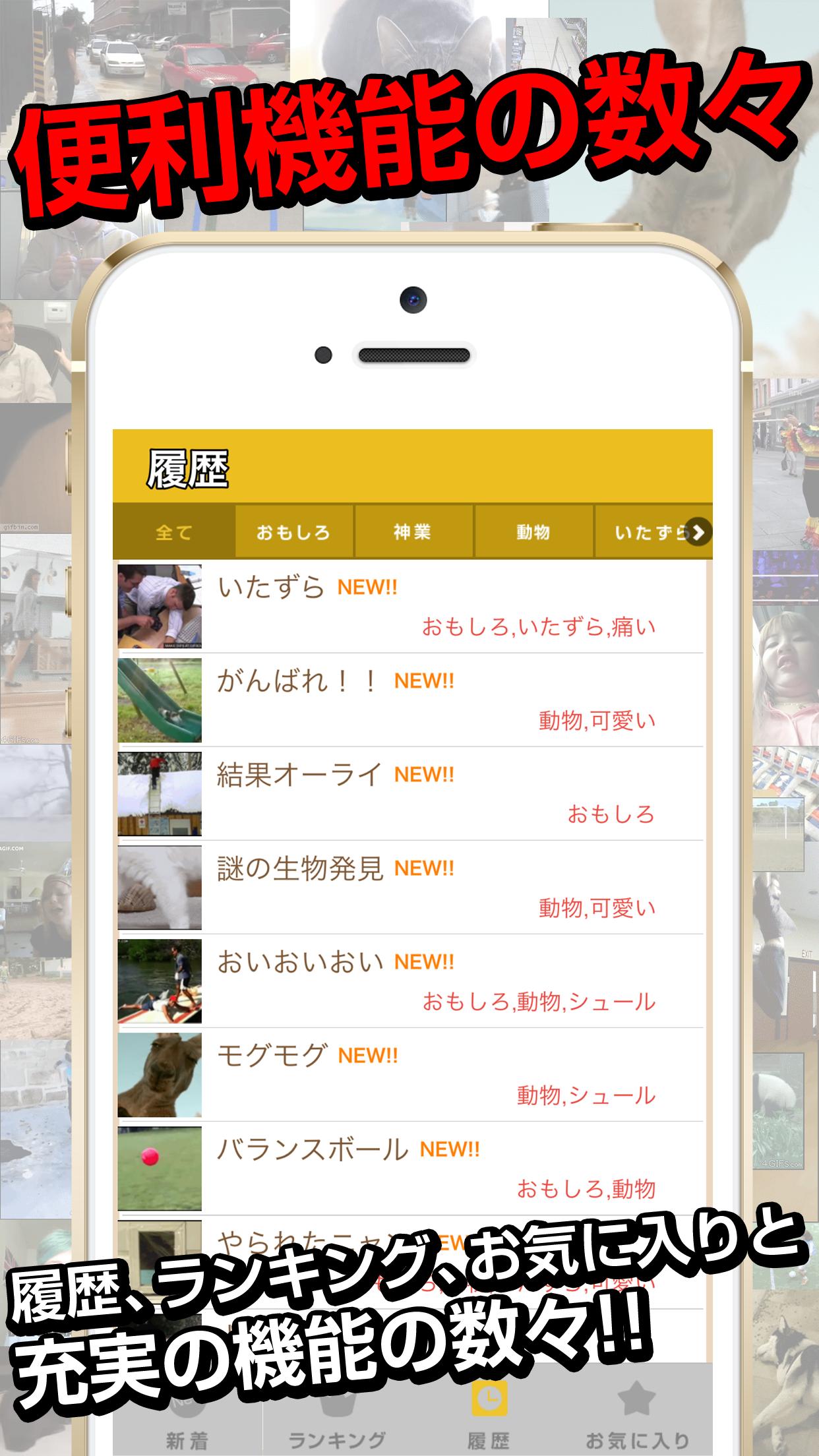 俺のgif 絶対笑えるおもしろgifアニメ画像 For Android Apk Download