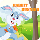 Rabbit Running :The Champion أيقونة