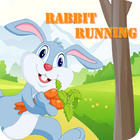 Rabbit Running :The Champion biểu tượng