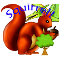 Squirrel!