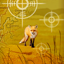 Fox Hunter APK