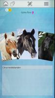 Penny & Friends 100 HORSES ポスター