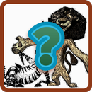 Madagascar guess APK