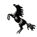 Black Stallion