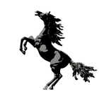 Black Stallion icône