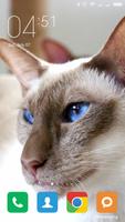 Oriental Shorthair Wallpapers screenshot 1