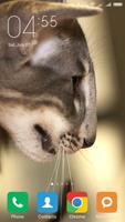 Oriental Shorthair Wallpapers screenshot 2