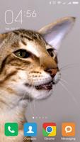 Oriental Shorthair Wallpapers 截图 3