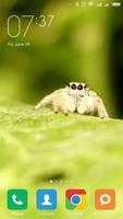 Spider Wallpapers 截图 3