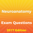 Neuroanatomy Exam Questions
