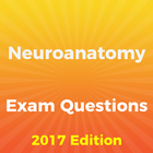 Neuroanatomy Exam Questions أيقونة