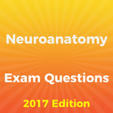 Neuroanatomy Exam Questions icône