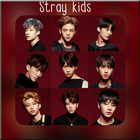 My Pace - Stray Kids (스트레이 키즈) icon