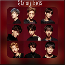 My Pace - Stray Kids (스트레이 키즈) APK