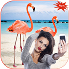 Flamingo Photo Editor icono