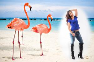 Flamingo Photo Editor Screenshot 2