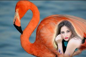 Flamingo Photo Editor captura de pantalla 3