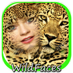 Animal Faces - Face Morphing