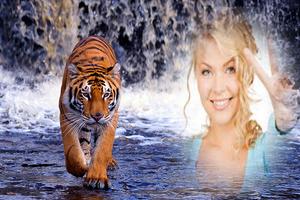 Tiger Photo Frames تصوير الشاشة 1