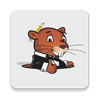 Laundry Gopher icon