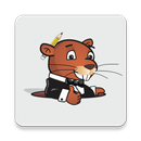 Laundry Gopher APK