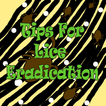 Tips For Lice Eradication