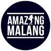 Amazing Malang