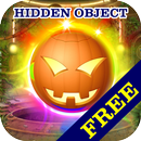 Attic Treasure : Hidden Object APK