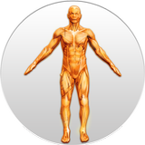 Best Anatomy simgesi