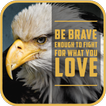 Courage Quotes