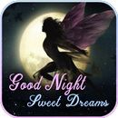 Good Night Wishes Images APK