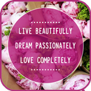 Heart Touching Quotes APK