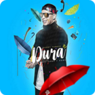 Dura Dura Daddy Yankee icon