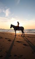 Horses Themes Live poster