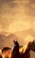 Horses Themes Live screenshot 2