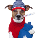 Veterinarian Wallpapers APK