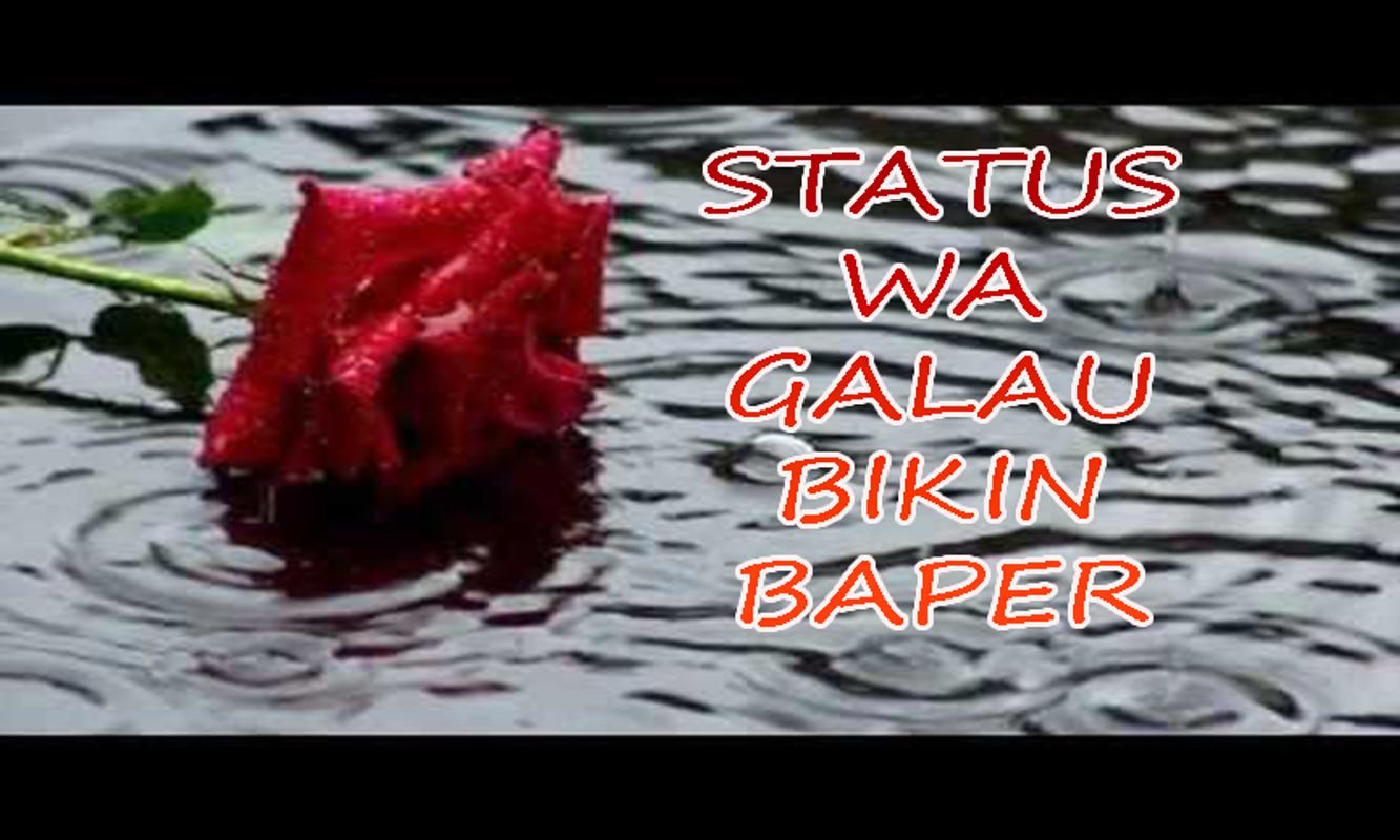 Status WA Galau Bikin Baper For Android APK Download
