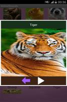 Animal Voices captura de pantalla 1