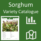 Sorghum Variety Catalogue (KE) icône