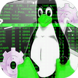 apprendre linux - cmd de linux debutant à expert -