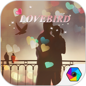 FREE-LOVEBIRD THEME icon