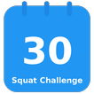 30 Day Squat Challenge