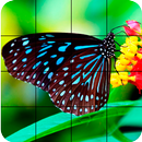 Butterfly Puzzle APK