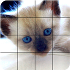 🐱 Cats Puzzle иконка