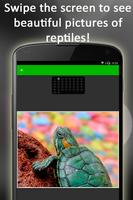 🐍 Reptiles Puzzle bài đăng